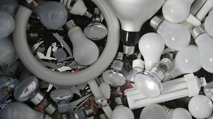 How to dispose of any type of light bulb A collection of different types of light bulbs, including incandescent, halogen, LED, and CFL bulbs, and fluorescent tubes